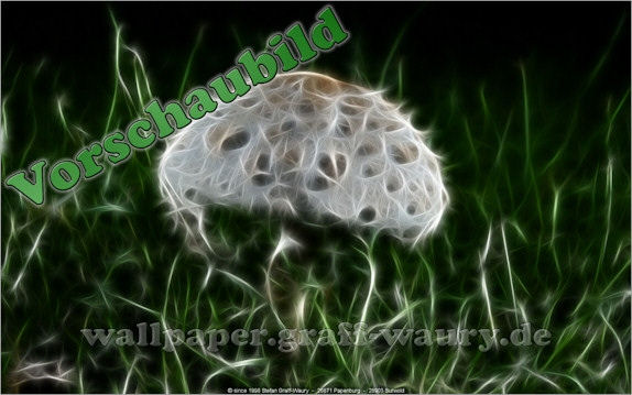 Vorschau zum kostenlosen, lizensierten Wallpaper-Bild: Fractalius - Pilz