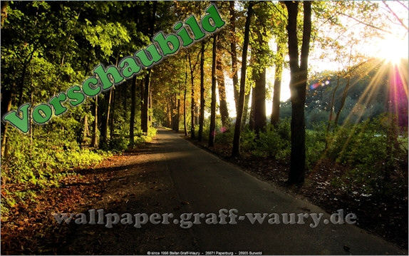 Vorschau zum kostenlosen, lizensierten Wallpaper-Bild: Herbst in Papenburg, die Lichtung