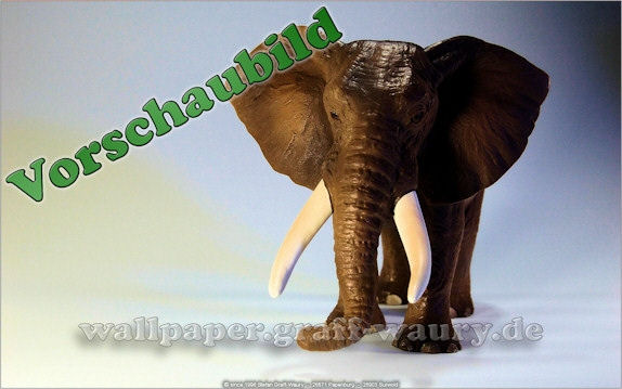 Vorschau zum kostenlosen, lizensierten Wallpaper-Bild: Der Elefant