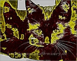 Lizensiertes Wallpaper-Bild von wallpaper.graff-waury.de - Fractalius-Black-Cats-2