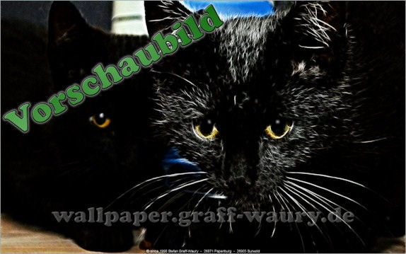 Vorschau zum kostenlosen, lizensierten Wallpaper-Bild: Fractalius - Lauernde Katzen