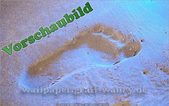 Vorschau zum kostenlosen, lizensierten Wallpaper-Bild: Insel Langeoog - der Fuabdruck im Sand