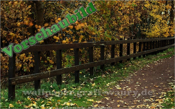 Vorschau zum kostenlosen, lizensierten Wallpaper-Bild: Herbst in Papenburg, am Zaun...