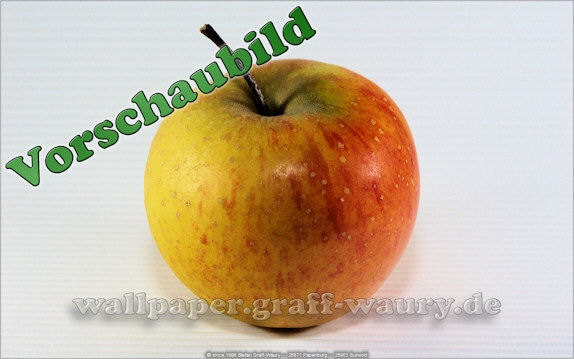 Vorschau zum kostenlosen, lizensierten Wallpaper-Bild: Der Apfel I