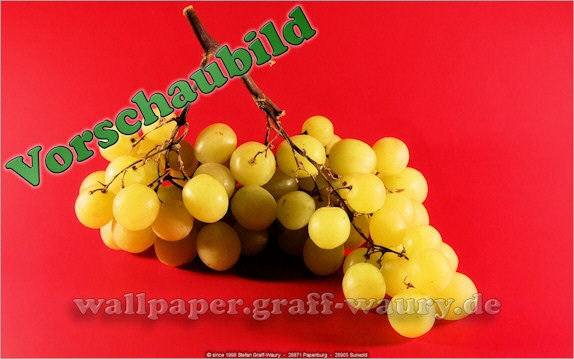 Vorschau zum kostenlosen, lizensierten Wallpaper-Bild: Weintrauben auf rotem Grund