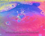 Wallpaper, die deinen Desktop versch�nern: Wassertropfen - Fotokunst Pic. Nr. 001