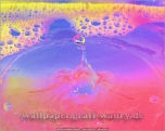 Wallpaper, die deinen Desktop versch�nern: Wassertropfen - Fotokunst Pic. Nr. 004