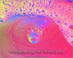 Wallpaper, die deinen Desktop versch�nern: Wassertropfen - Fotokunst Pic. Nr. 010